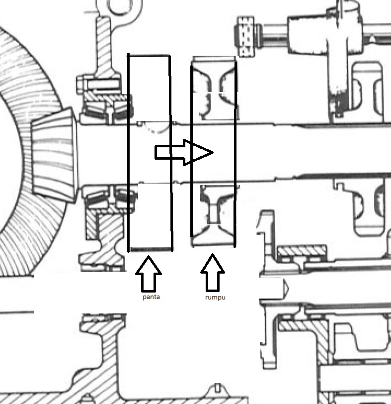 Läpileikkaus rumpu siirretty.jpg