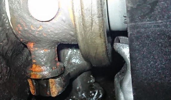 Kytkimen käpälä.jpg