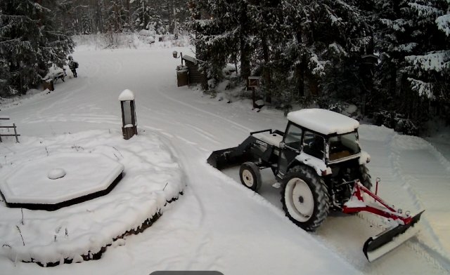 natikka elää taas.jpg